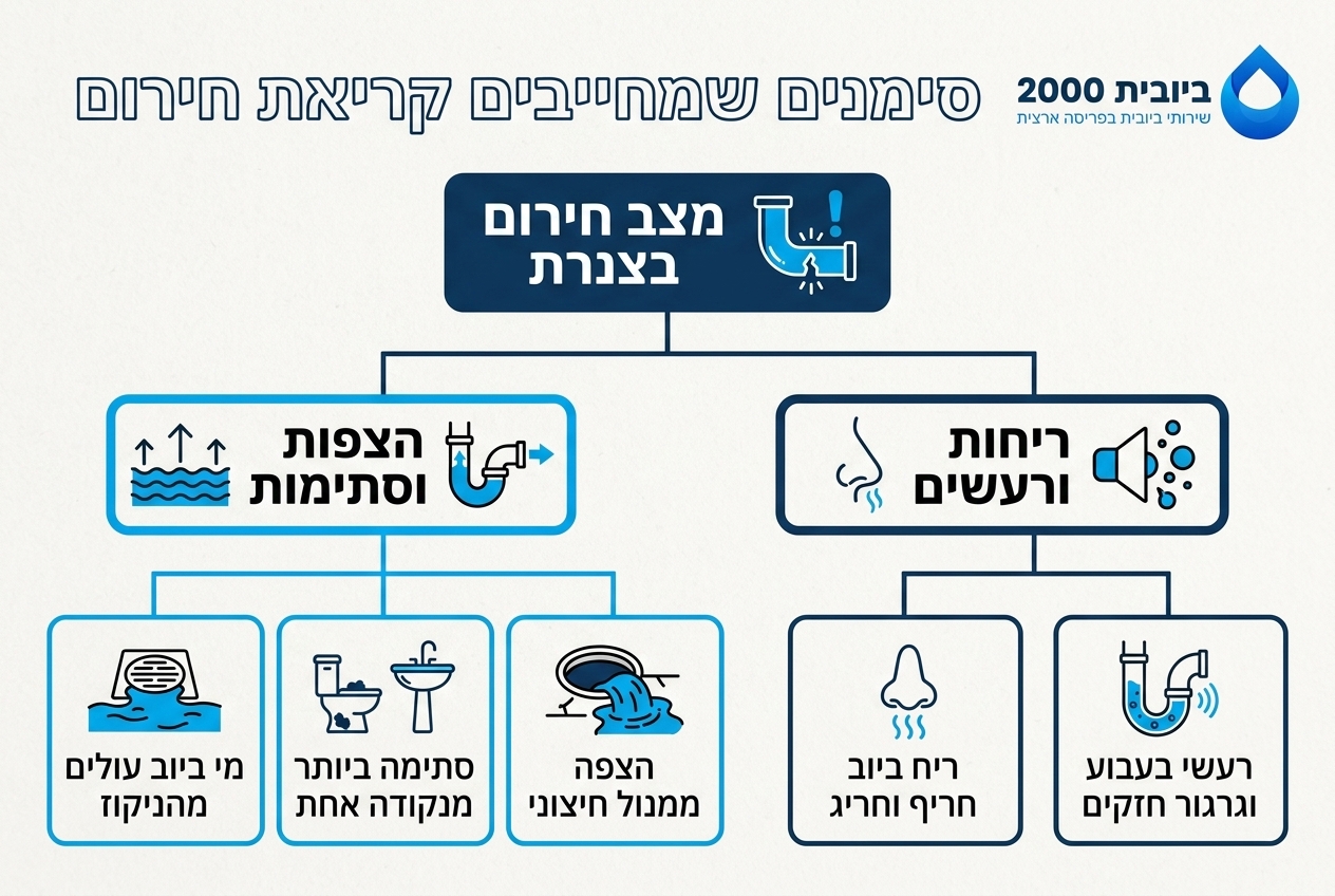 אינפוגרפיקה